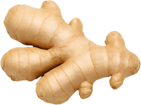 Ginger