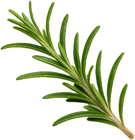 Rosemary